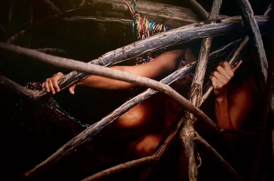 Cocolloba Caravellae Plan&egrave;te (Les Monteuses et monteurs associ&eacute;s)