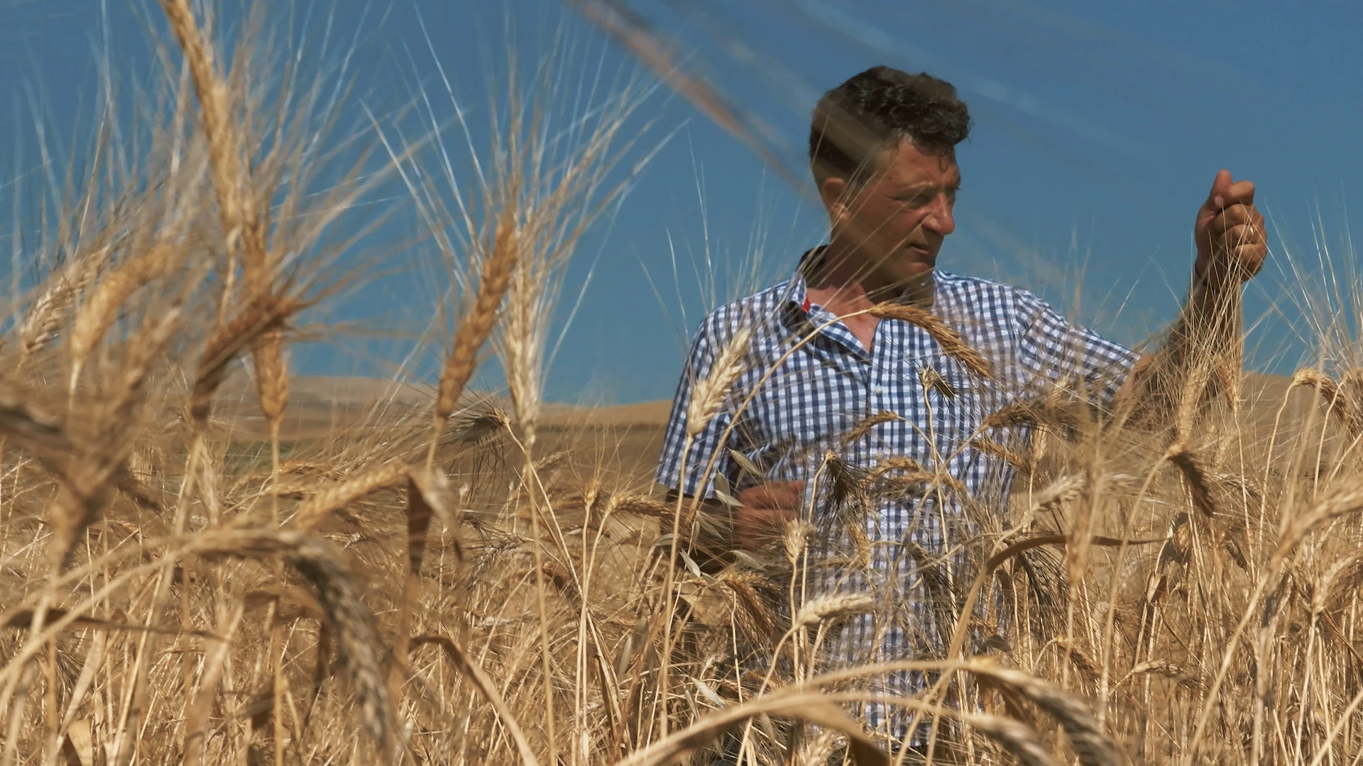 Gluten, l'ennemi public ? (Les Monteuses et monteurs associ&eacute;s)