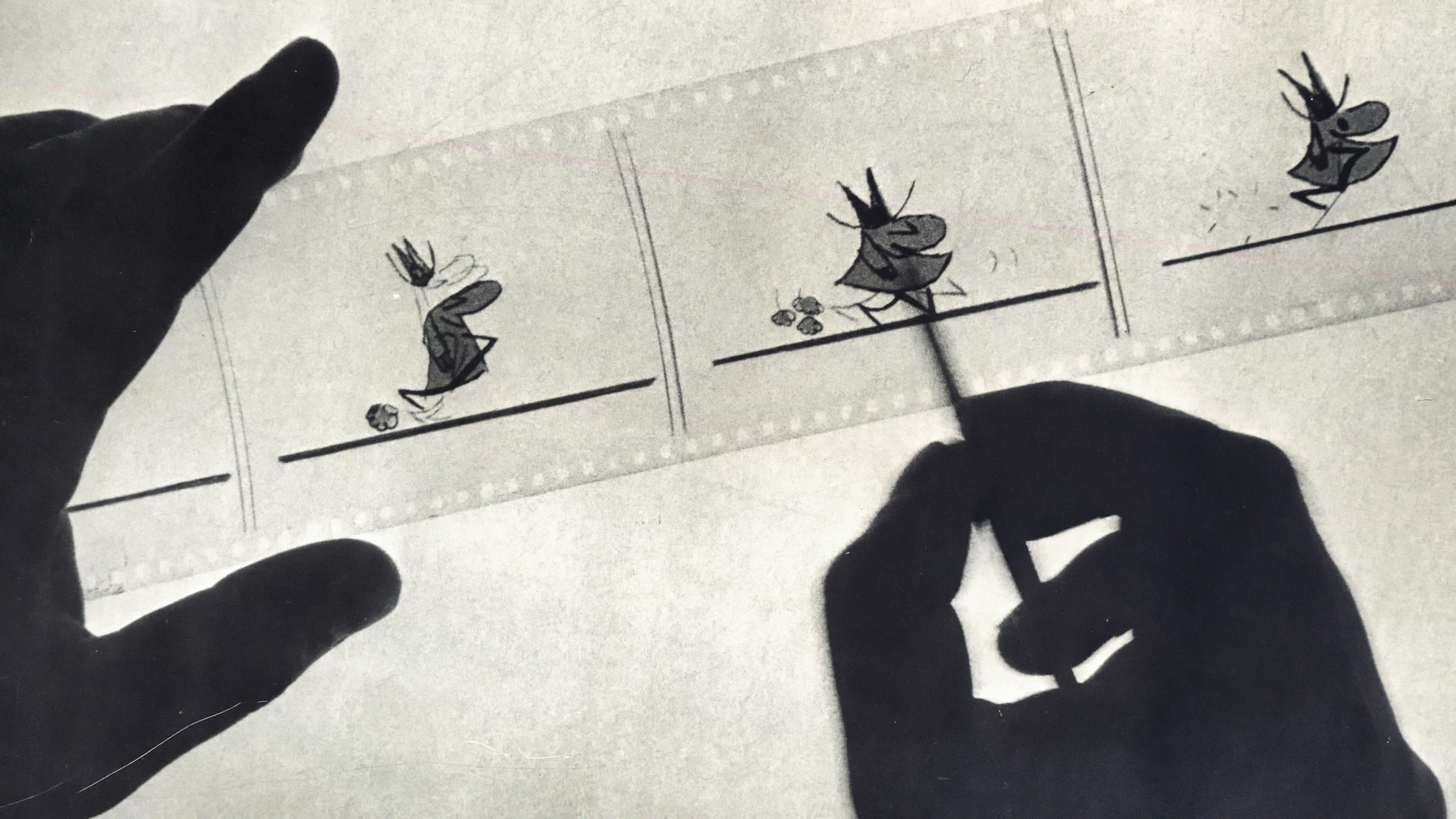 L'animographe, ou je suis n&eacute; dans une bo&icirc;te &agrave; chaussures (Les Monteuses et monteurs associ&eacute;s)