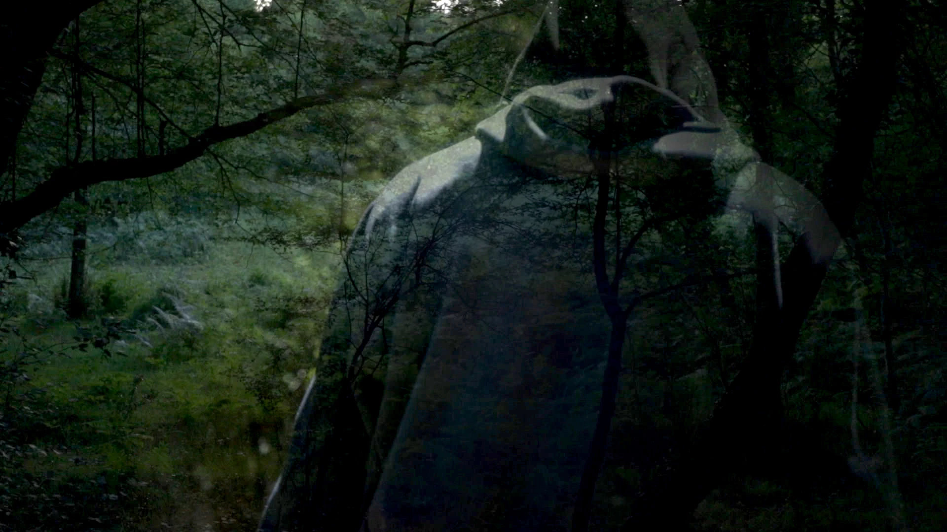 Les Damn&eacute;s, r&eacute;cits d'ouvriers en abattoir (Les Monteuses et monteurs associ&eacute;s)