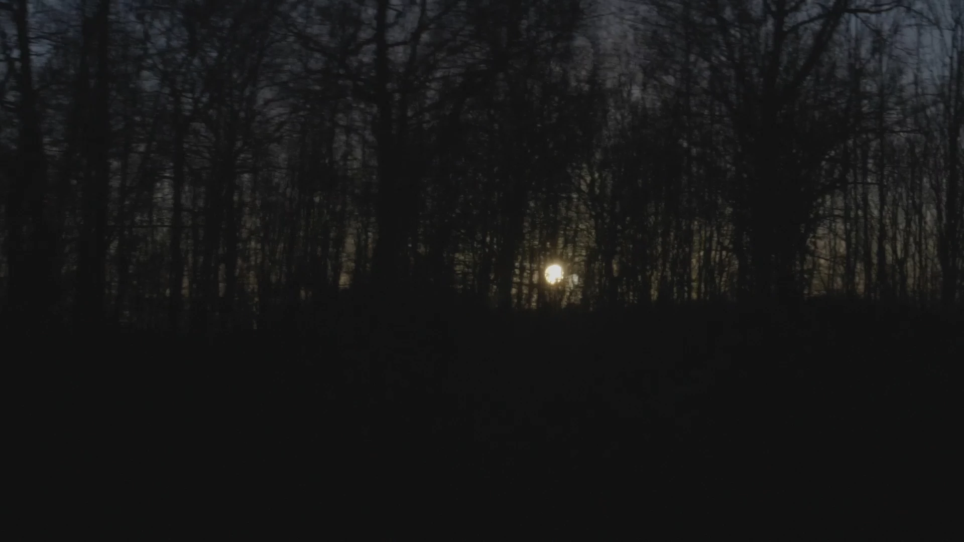 M&eacute;diums (Les Monteuses et monteurs associ&eacute;s)