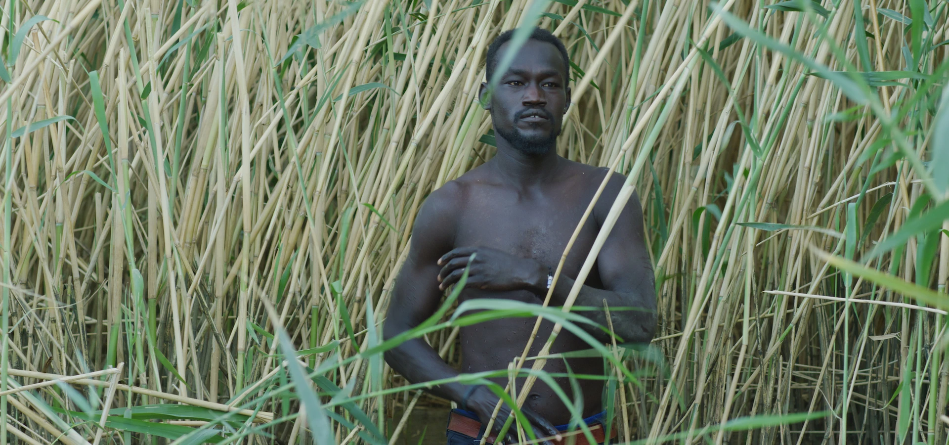 The Dam (Les Monteuses et monteurs associ&eacute;s)